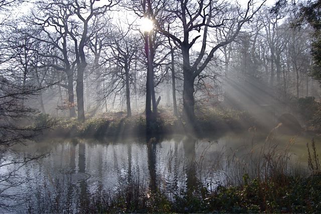 Photo © Tony Hall via Flickr under creative commons licence.